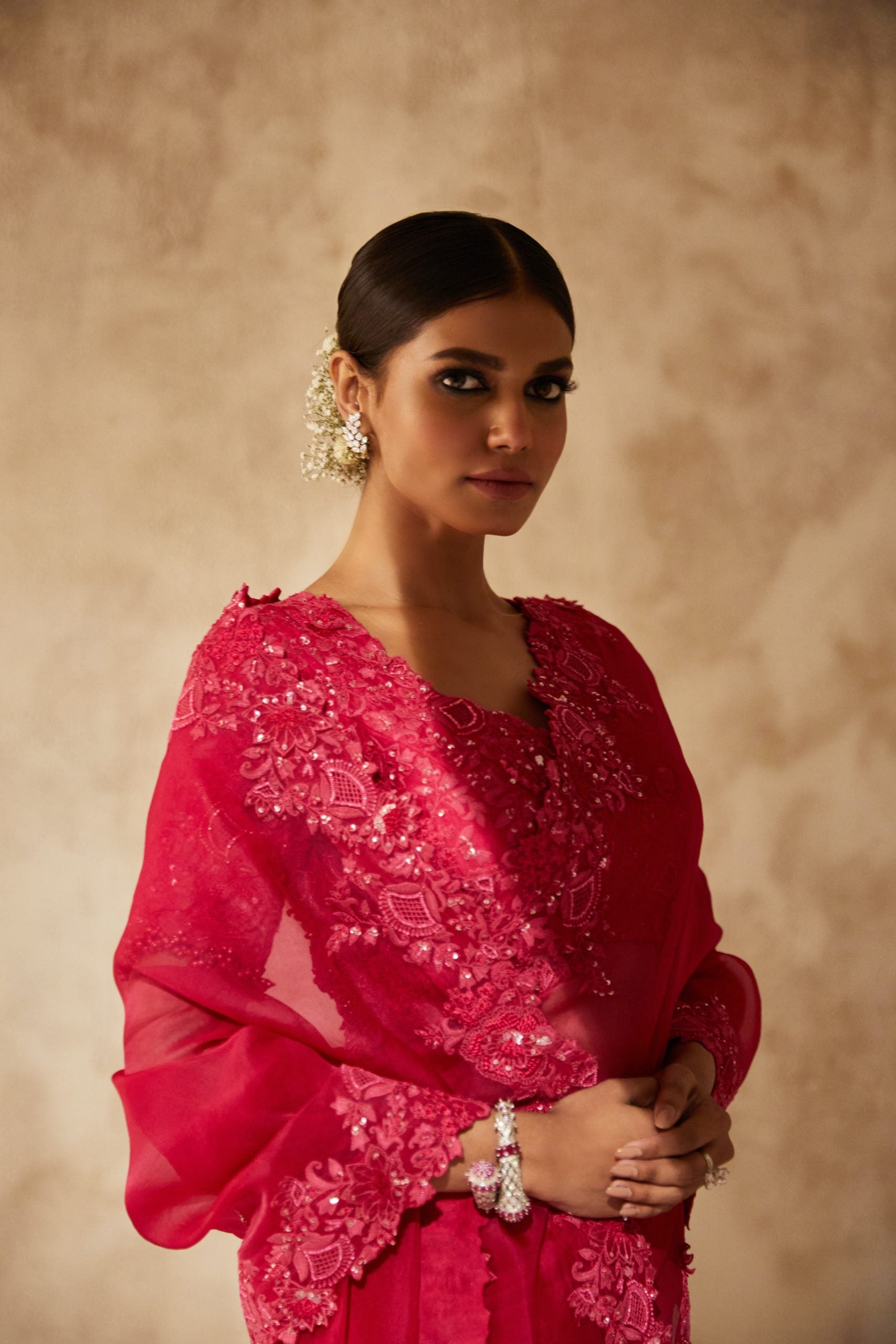 Silk blouse and organza saree