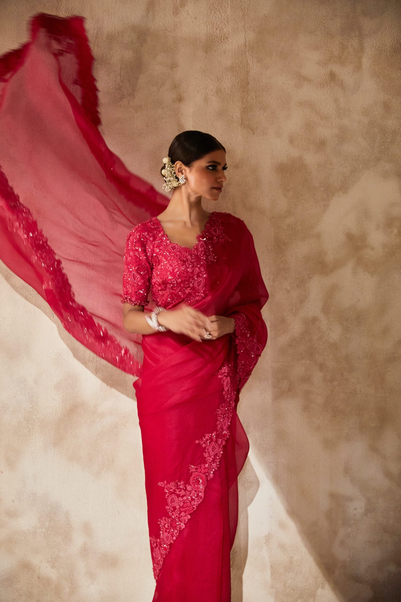 Silk blouse and organza saree