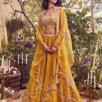 Silk blouse with organza cape and skirt