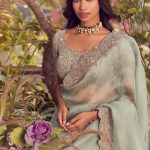 Organza saree and silk blouse