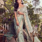 Organza saree and silk blouse