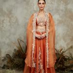 Silk blouse with organza cape and skirt