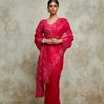 Silk blouse and organza saree