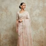 Silk blouse with organza saree