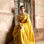 AV Moti Resham 4 Kali Skirt Set